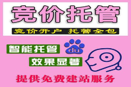 信息流广告投放公司案例深度剖析